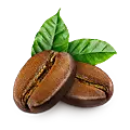 Cafea, cacao